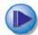GENIUS LOOK 313 MEDIA - 5.Security Monitoring System - 2