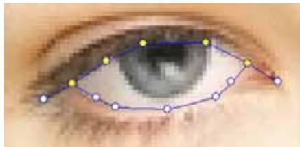 GENIUS LOOK 317 - - How can I make the eyes look more real? - 1
