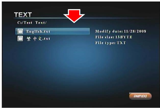 GENIUS MEDIA PLAYER 100 - Running the Text Reader - 2