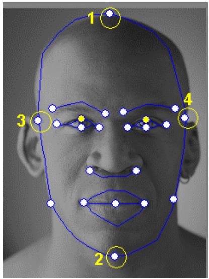 GENIUS MESSENGER 310 - Tips and Suggestions Facial Fitting Tips - 1