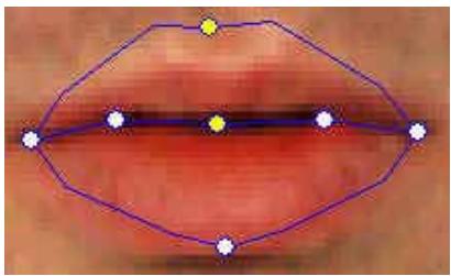 GENIUS MESSENGER 310 - - How can I improve the mouth movements for a photo with an open mouth? - 6