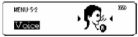 GENIUS MP3-DJ - MENU-5 Delete - 2
