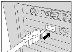 GENIUS P313 - Step 2: Connecting the camera to your computer - 1
