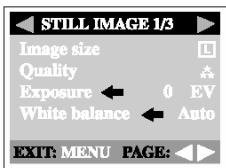 GENIUS P313 - Taking pictures manually - 1