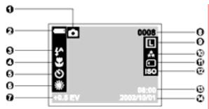 GENIUS P314 - LCD monitor information - 1