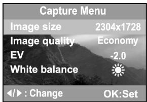 GENIUS P433 - Setting the image resolution and quality - 1