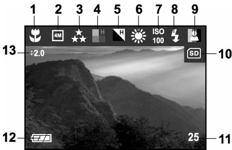 GENIUS P433 - LCD monitor information - 1