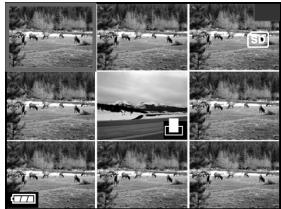 GENIUS P433 - Displaying Thumbnail Images - 1