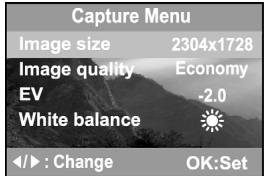 GENIUS P433 - The Capture Menu - 1