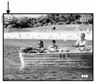 GENIUS P510 - Viewing Images - 1