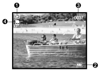 GENIUS P510 - Display icons - Still-Image Playback Mode: - 1