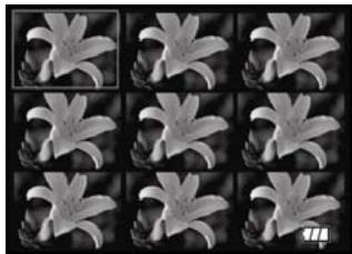 GENIUS P510 - Displaying Thumbnail Images - 1