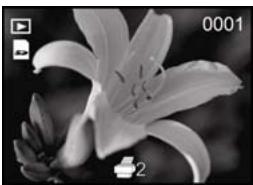 GENIUS P510 - Setting the DPOF - 2