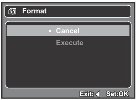 GENIUS P5143 - Formatting the Memory Card or Internal Memory - 2
