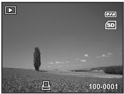 GENIUS P5143 - DPOF Settings - 4