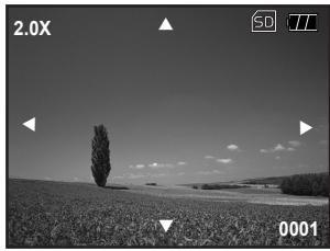 GENIUS P517 - Magnifying Images - 1