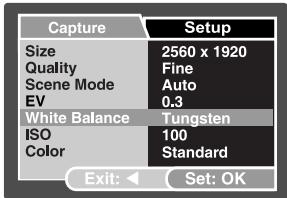 GENIUS P517 - Setting White Balance - 1
