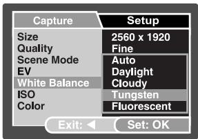 GENIUS P517 - Setting White Balance - 2