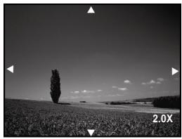 GENIUS P534 - Magnifying Images - 2