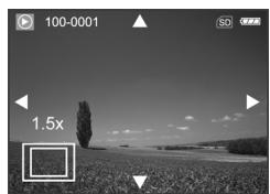 GENIUS P535 - Magnifying Images - 1