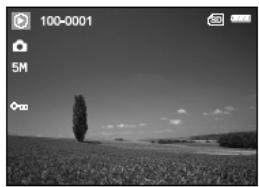 GENIUS P535 - Protecting Images/Video Clips - 2