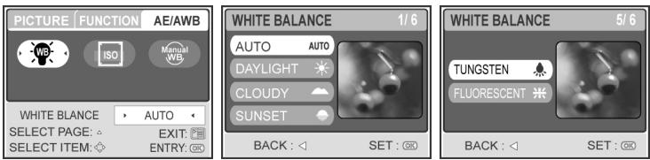 GENIUS P535 - Setting White Balance - 1