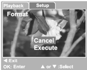 GENIUS P713 - Formatting an SD Memory Card or Internal Memory - 1