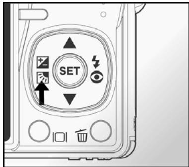 GENIUS P8565 - Exposure Compensation/Backlight Correction - 1