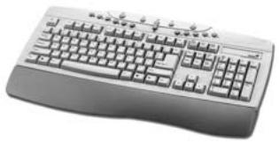 GENIUS TTSE - Keyboard: - 2