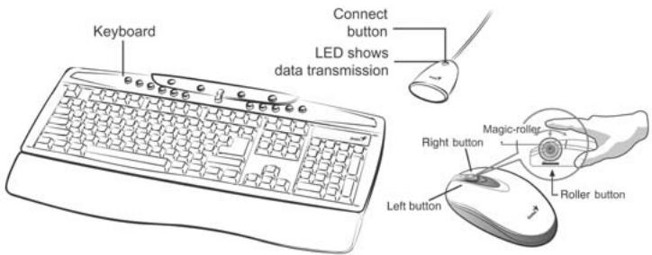 GENIUS TTSE - Mouse: - 1