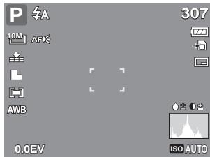 GENIUS G-SHOT V1010 - Changing the LCD Monitor Display - 2