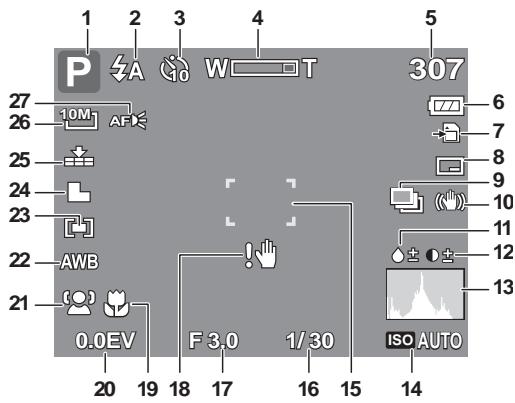 GENIUS G-SHOT V1010 - Record Mode Screen Layout - 1