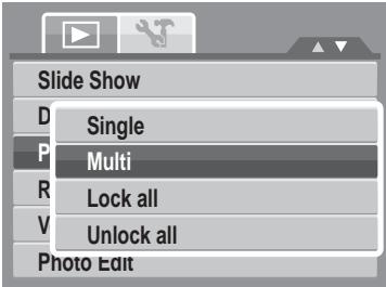 GENIUS G-SHOT V1010 - To protect files: - 1