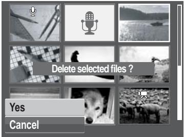 GENIUS G-SHOT V1010 - To delete all files: - 2