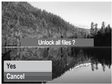 GENIUS G-SHOT V1010 - To unlock all files: - 3