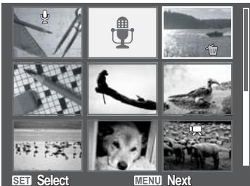 GENIUS G-SHOT V1010 - To protect files: - 3