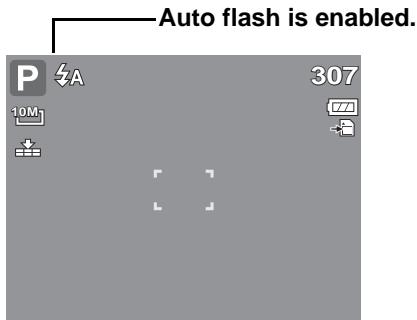 GENIUS G-SHOT V1010 - Using Flash - 3