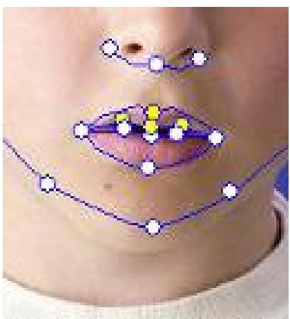 GENIUS ILOOK 325T - Motion Settings - 5