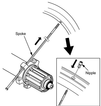 SHIMANO WH-7900-C24-CL - Replacing the spokes - 1