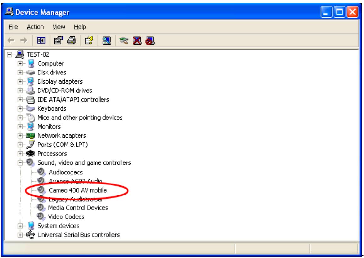 TERRATEC GRABSTER400AVMOBILE - Installed drivers should look like this. - 1