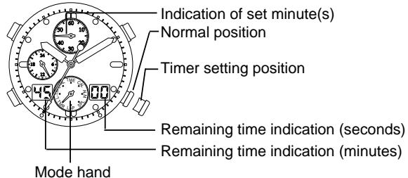 CITIZEN WATCH C330 - [Initial setting status of the timer] - 1