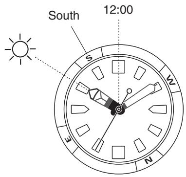 CITIZEN WATCH C900 - Compass (only applicable to models equipped with a compass) - 1