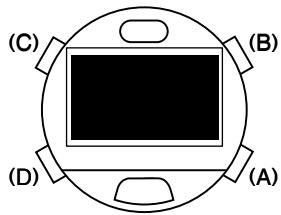 CITIZEN WATCH D70 - Procedure - 1