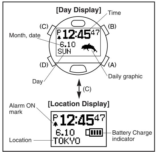 CITIZEN WATCH D70 - Switching the Display - 1