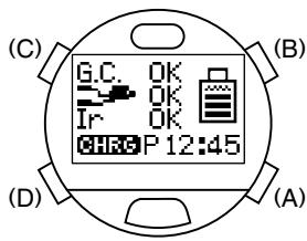 CITIZEN WATCH D70 - Watch Display During Charging - 1