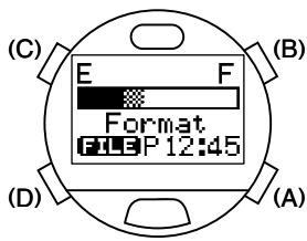 CITIZEN WATCH D70 - Procedure - 1
