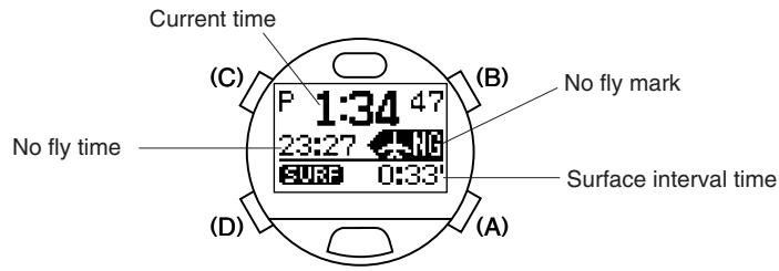 CITIZEN WATCH D70 - WARNING - 1