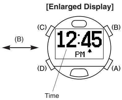 CITIZEN WATCH D70 - Switching the Display - 2