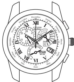 CITIZEN WATCH E87 - Notes: - 1