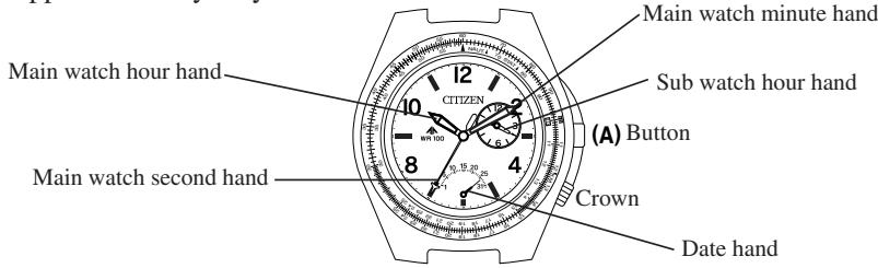 CITIZEN WATCH 3111 - Structure - 1